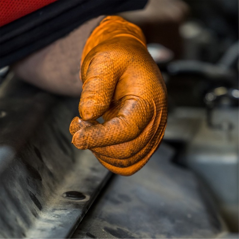 Shutterstock_2030278649