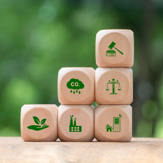 Environmental Policy